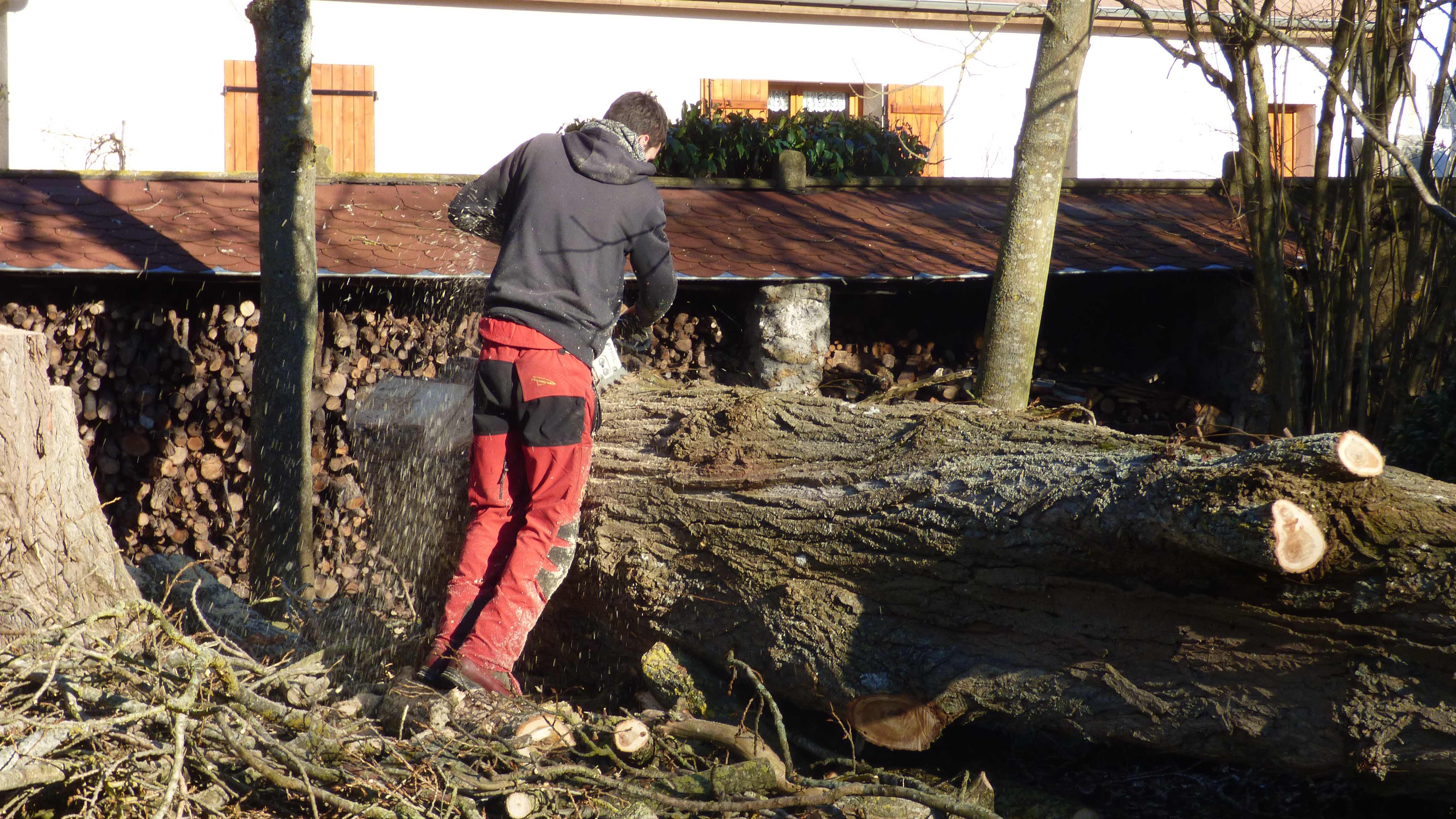 elagage abattage La Houssay en brie 77610